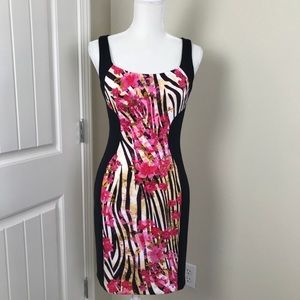 Boston Proper NEW Sheath Bodycon Dress Sz 4